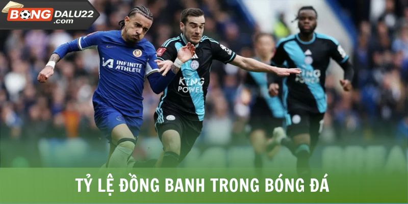 Tỷ lệ đồng banh trong bóng đá