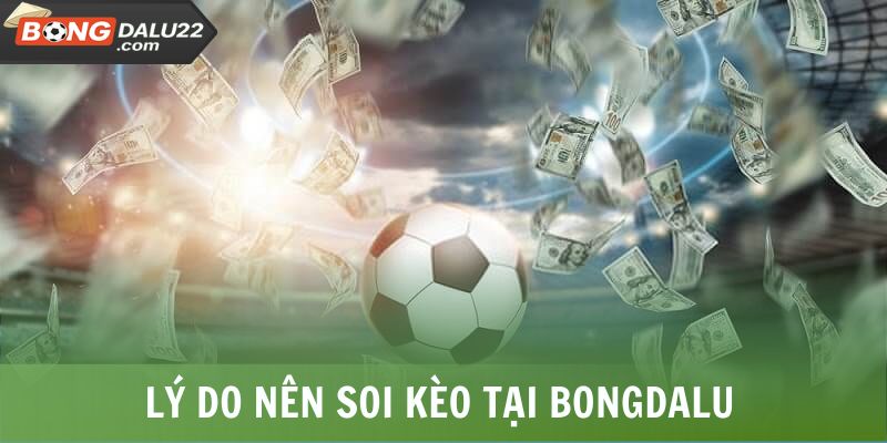Lý do nên soi kèo tại BONGDALU