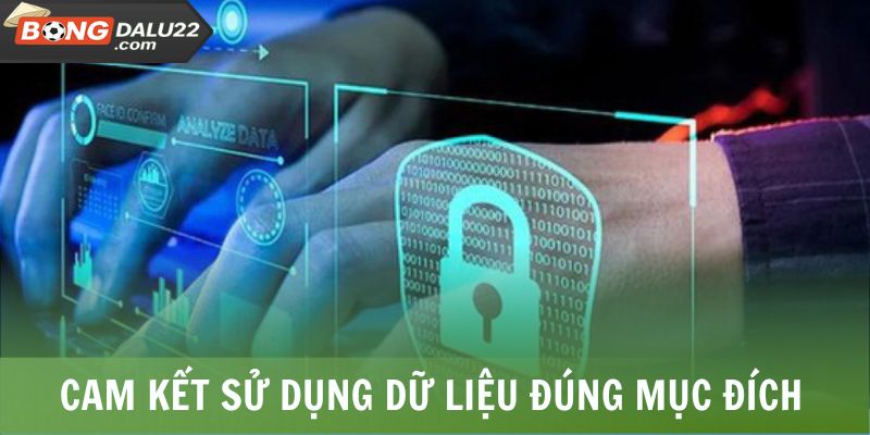 Cam kết sử dụng dữ liệu đúng mục đích