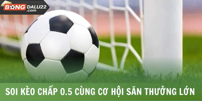 Soi kèo chấp 0.5 cùng cơ hội săn thưởng lớn