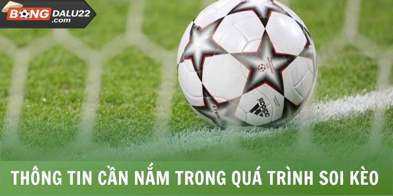 Thông tin cần nắm trong quá trình soi kèo