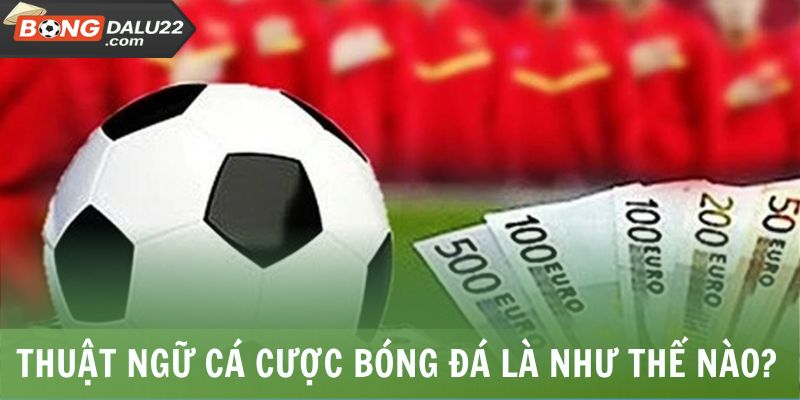 Thuật Ngữ Cá Cược Bóng Đá - BONGDALU Giải Thích Chi Tiết 5 Đôi nét thuật ngữ cá cược bóng đá